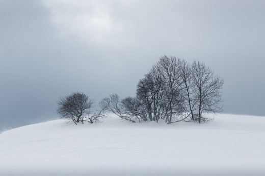 1020265 (a): :2048x1365